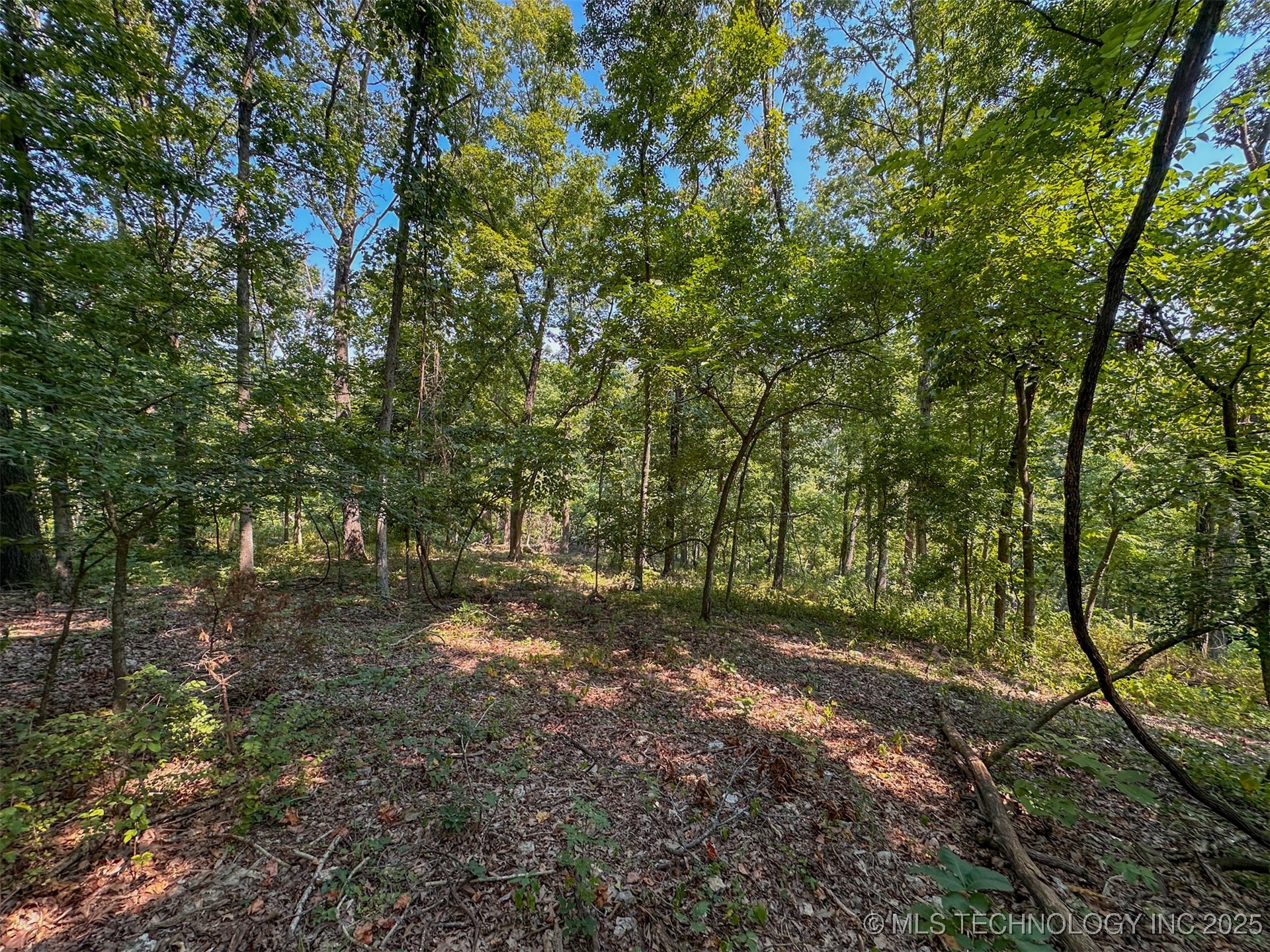 180 E Wyandotte Road Property Photo 33