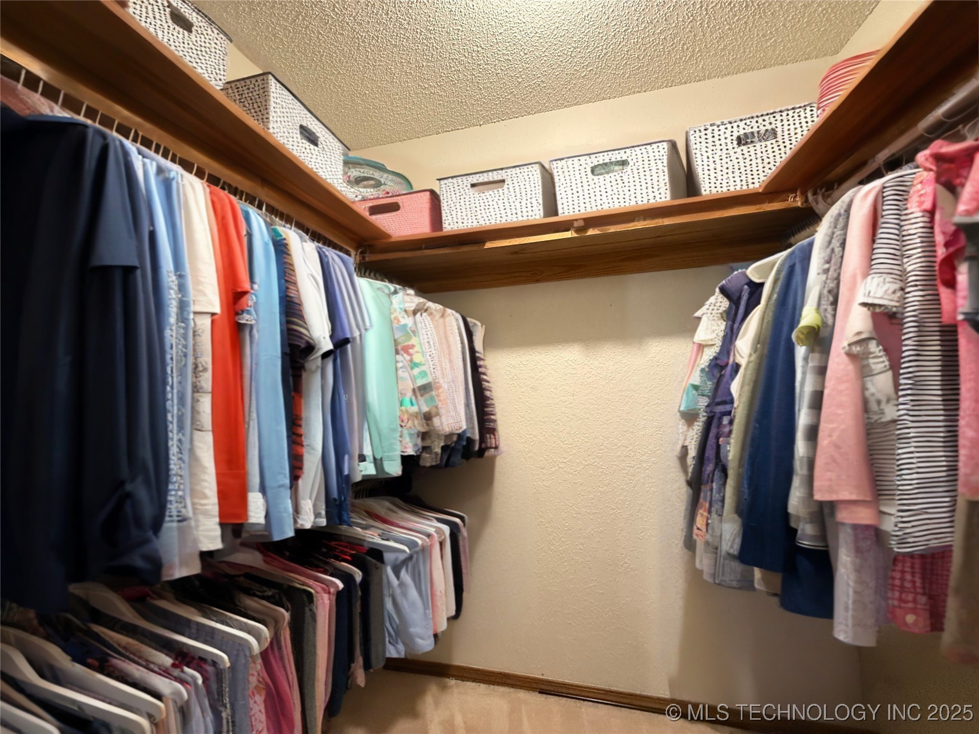 705 Shirley Property Photo 10