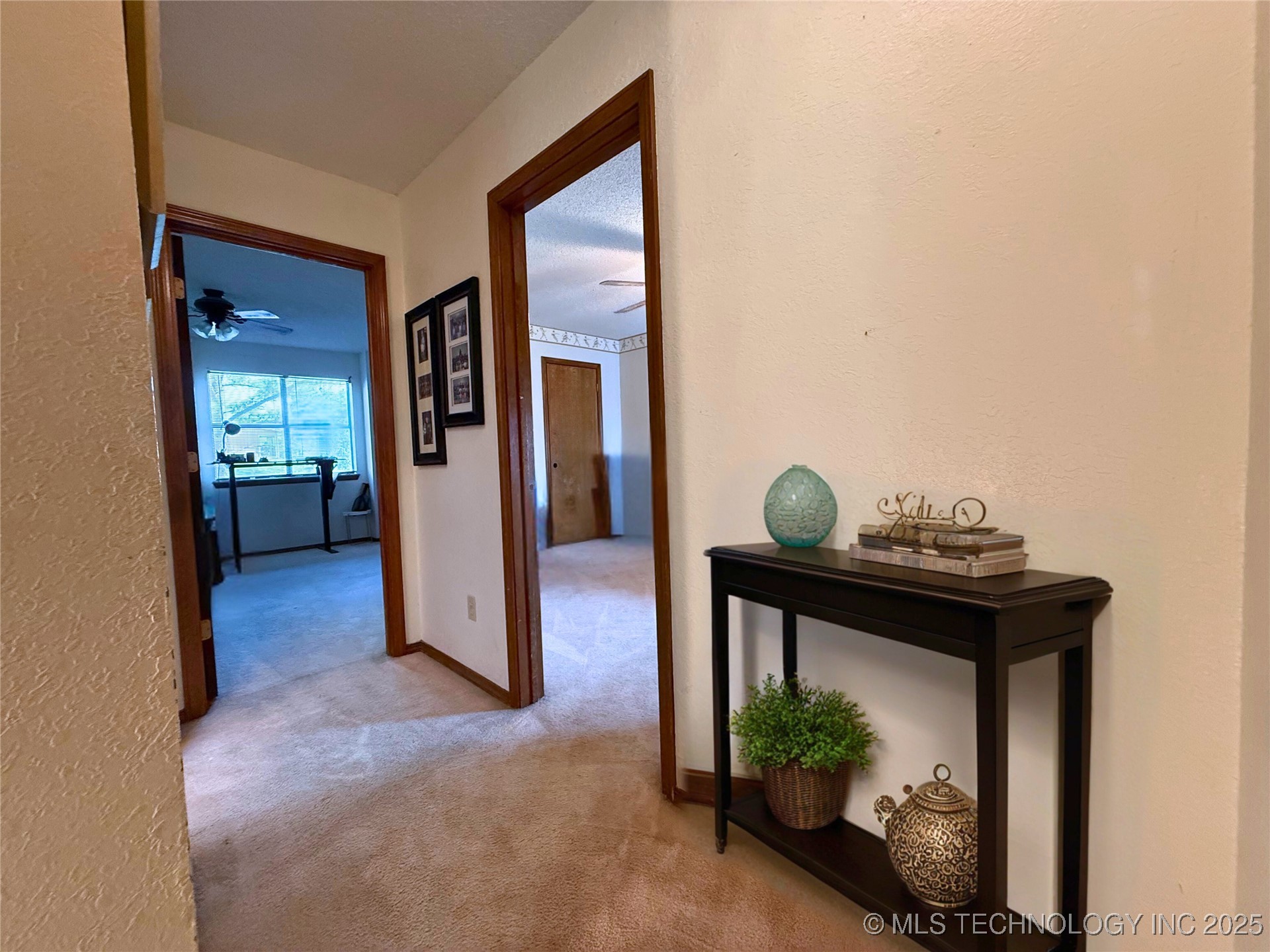 705 Shirley Property Photo 11