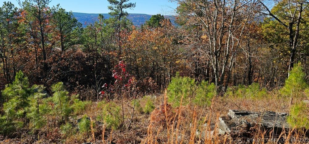 170318 Indian Hwy Property Photo 5