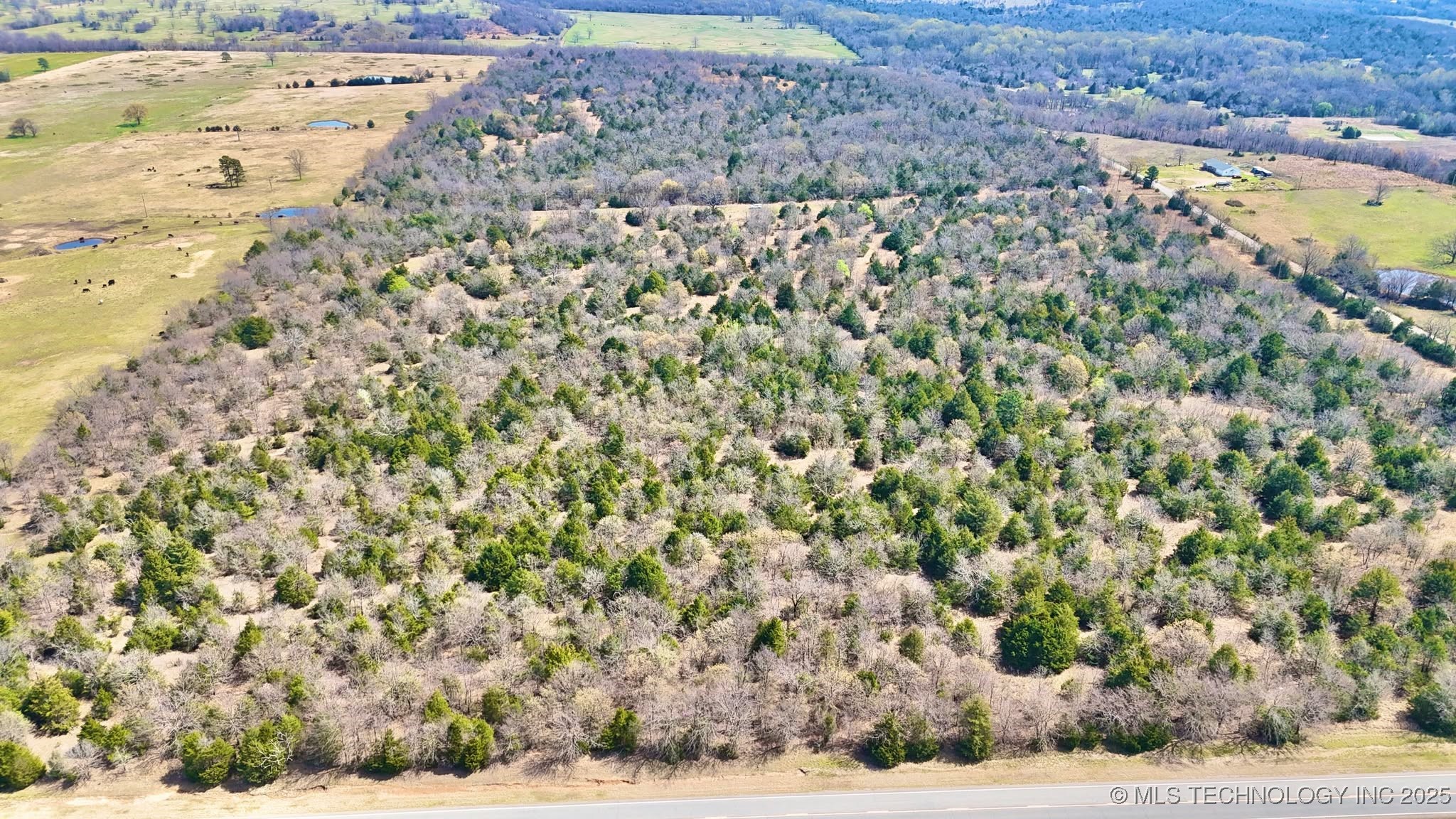 Hwy 26 Property Photo 2