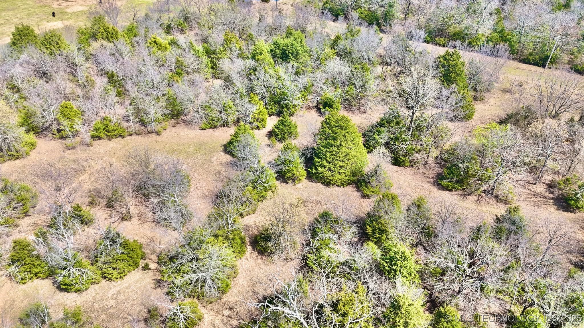 Hwy 26 Property Photo 3