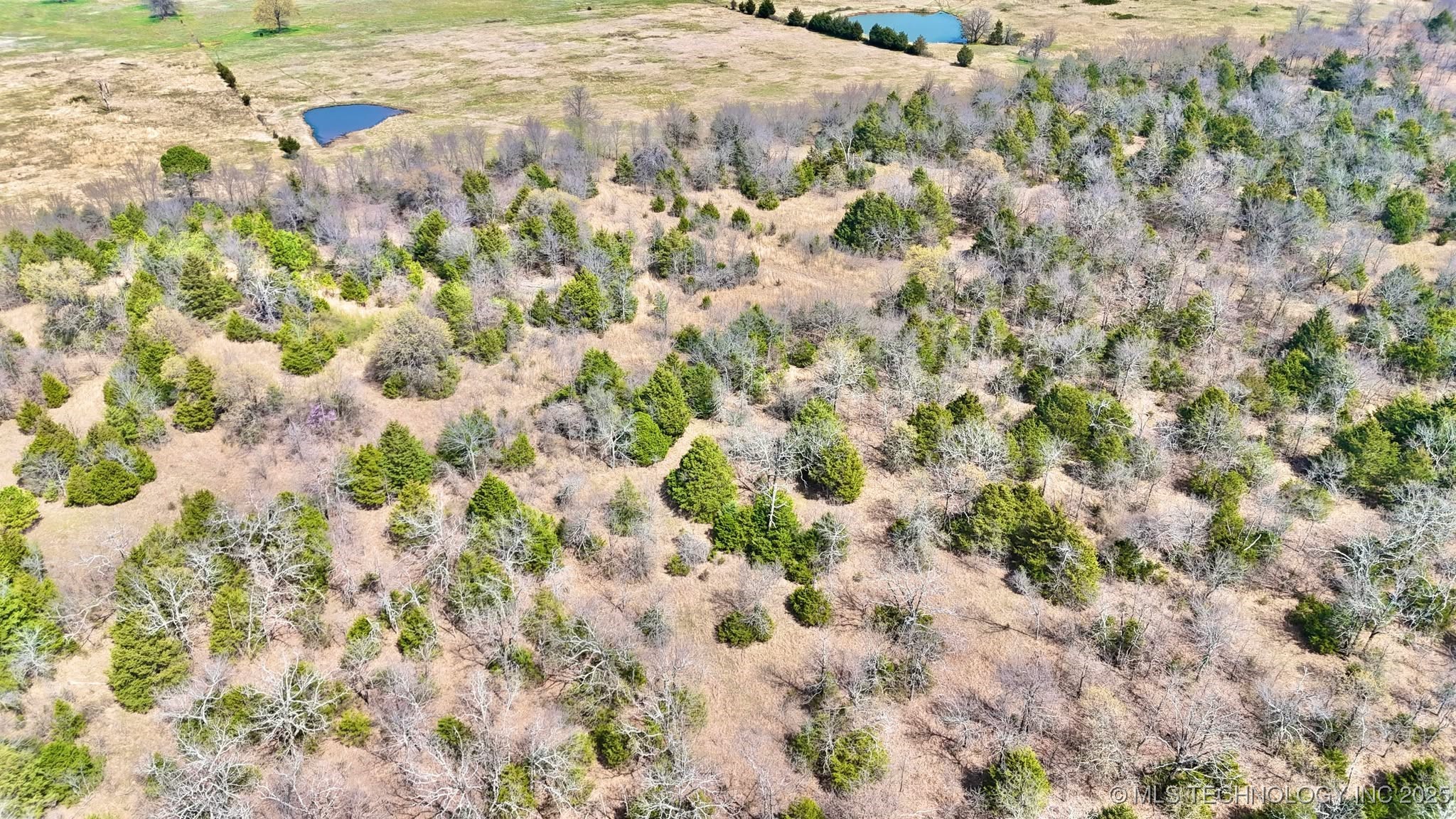 Hwy 26 Property Photo 6