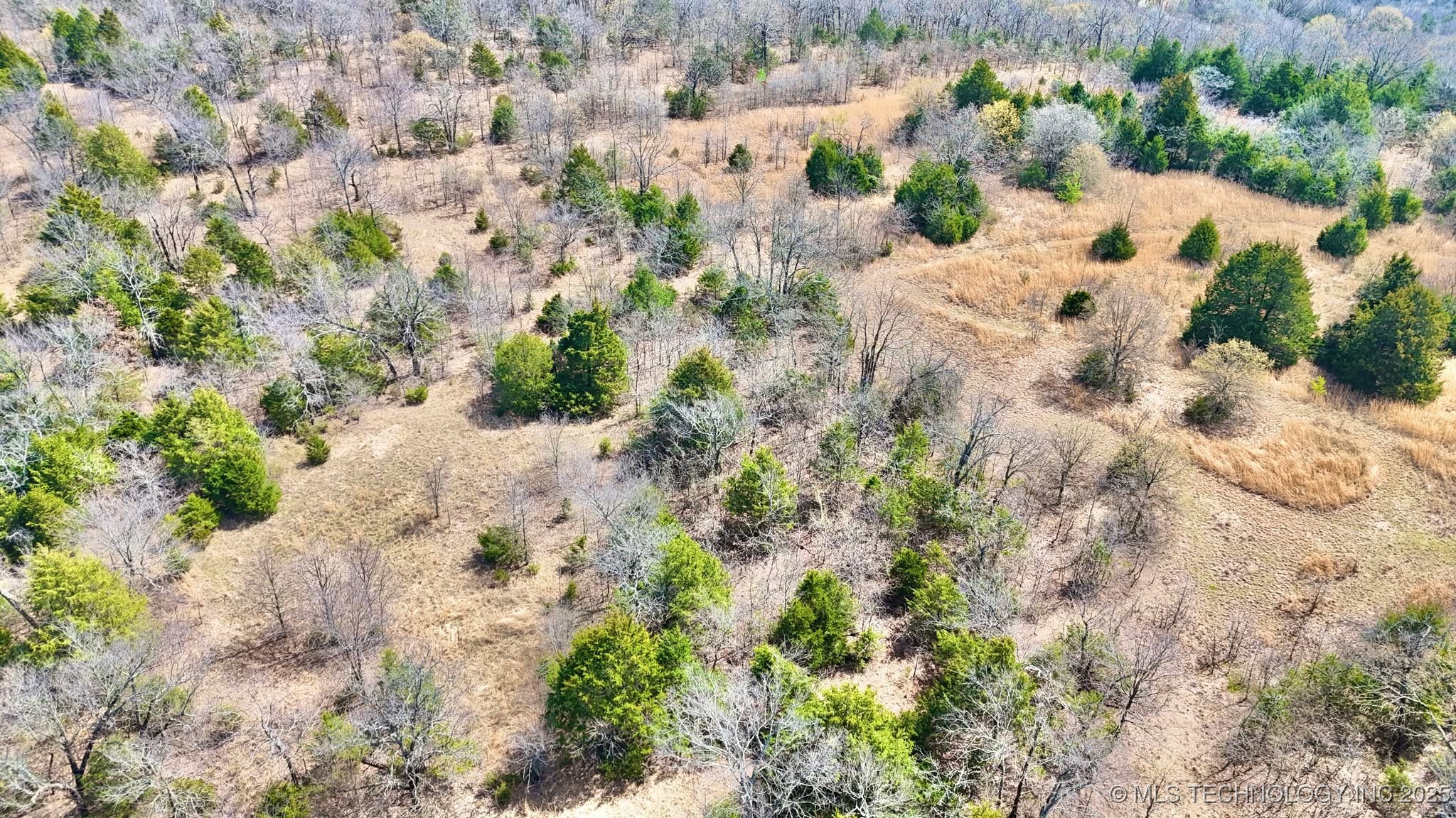 Hwy 26 Property Photo 7