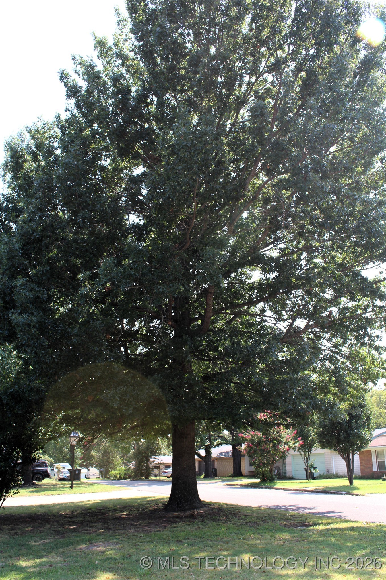 1512 N 10th Avenue Property Photo 5