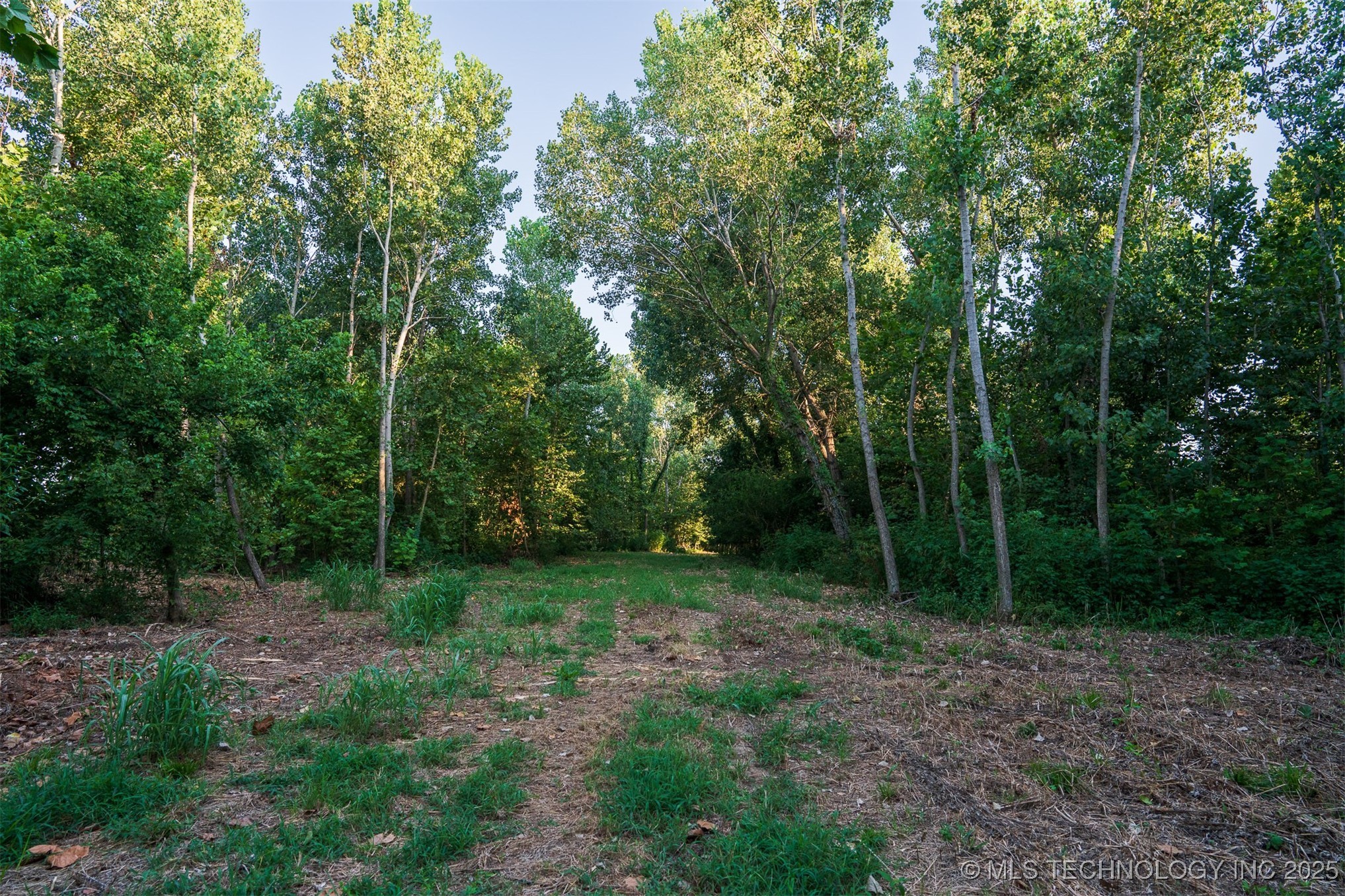 141st Street Property Photo 4