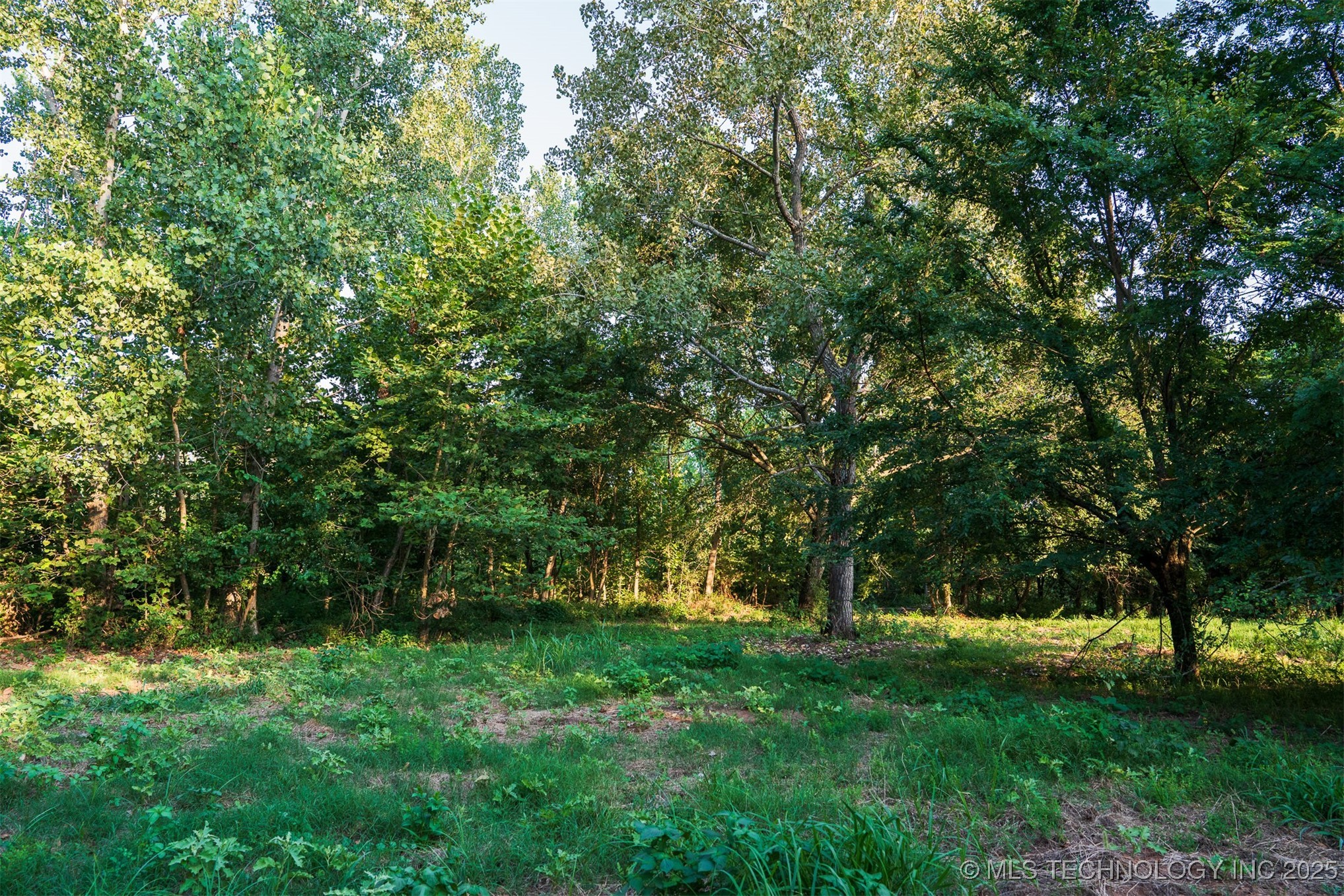 141st Street Property Photo 6