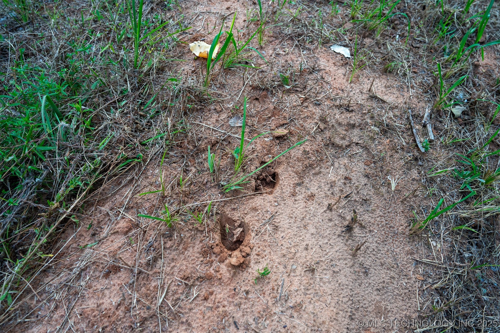 141st Street Property Photo 13