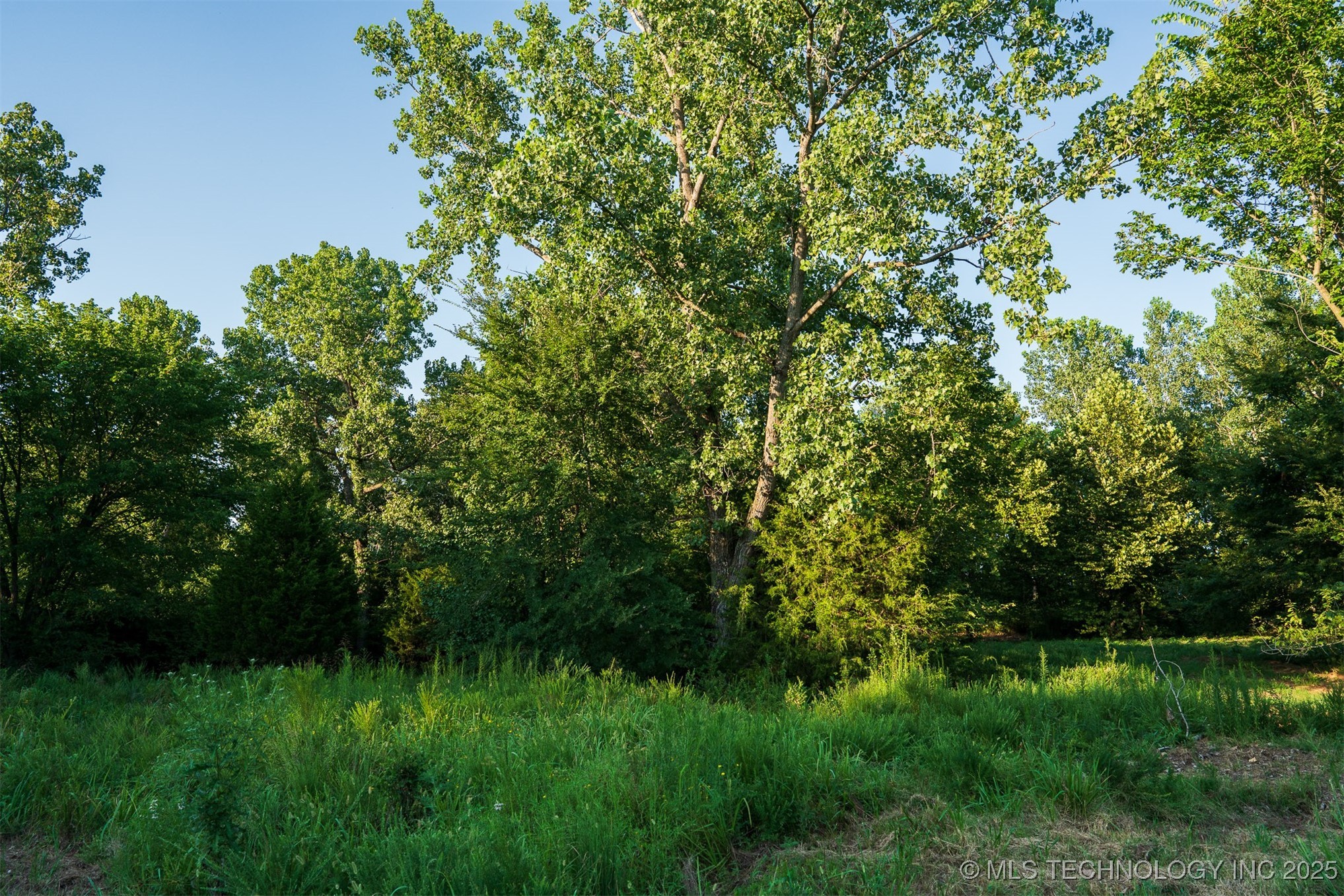 141st Street Property Photo 41