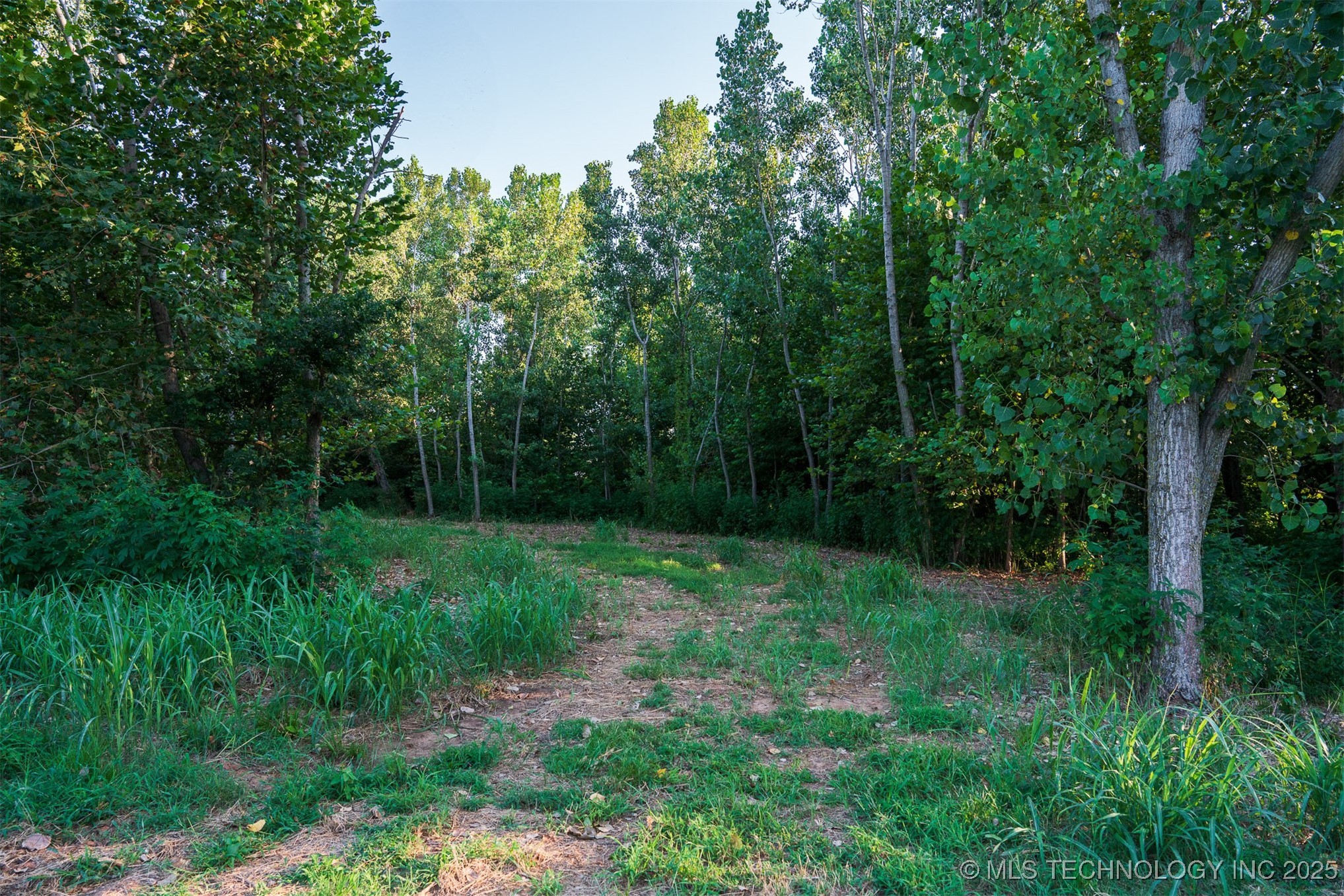 141st Street Property Photo 51