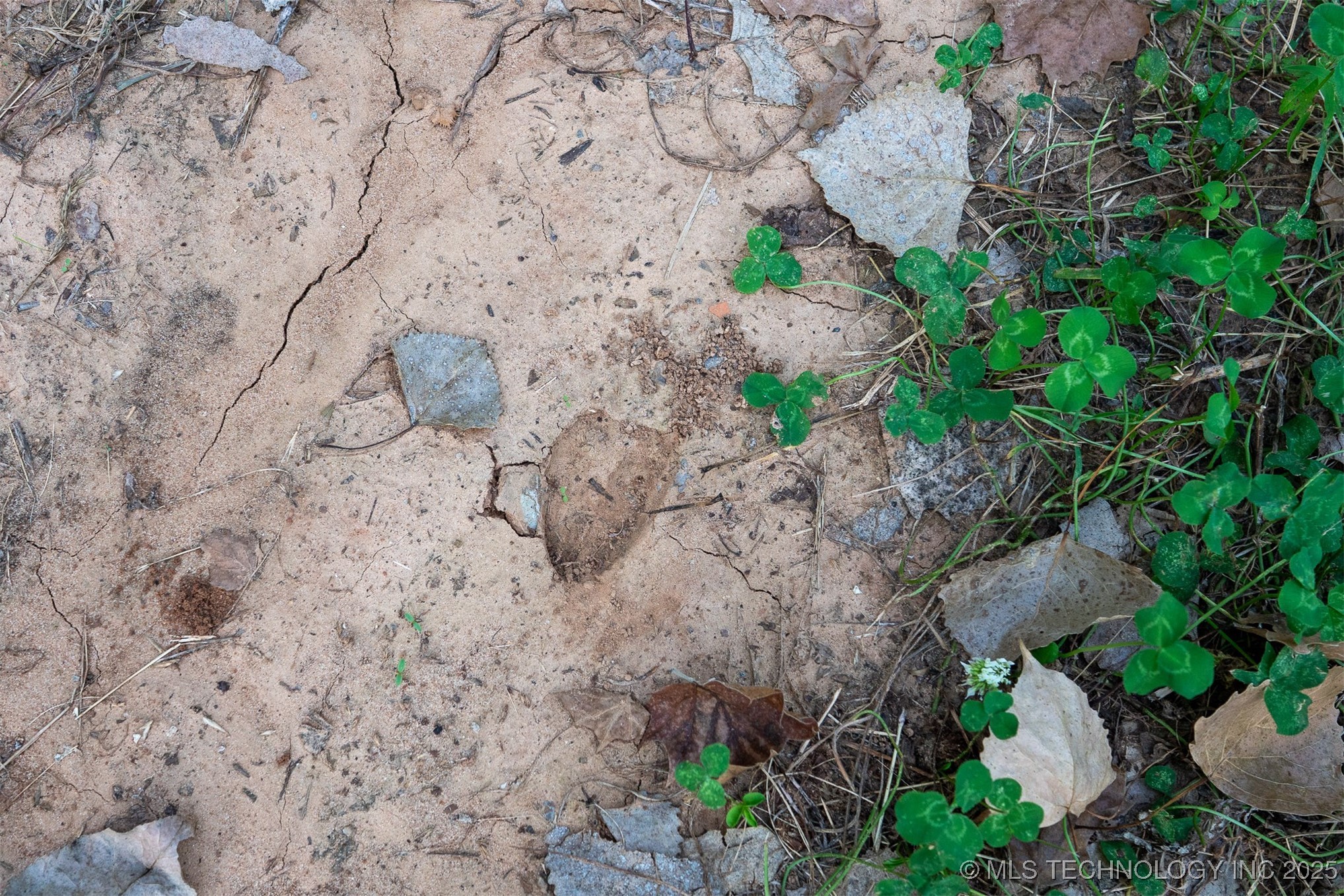 141st Street Property Photo 69