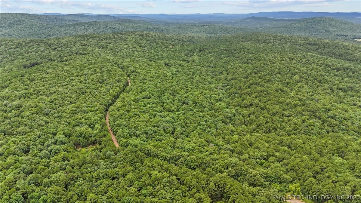 6250 Se 1087 Avenue Property Photo 30