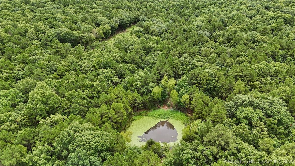 6250 Se 1087 Avenue Property Photo 31