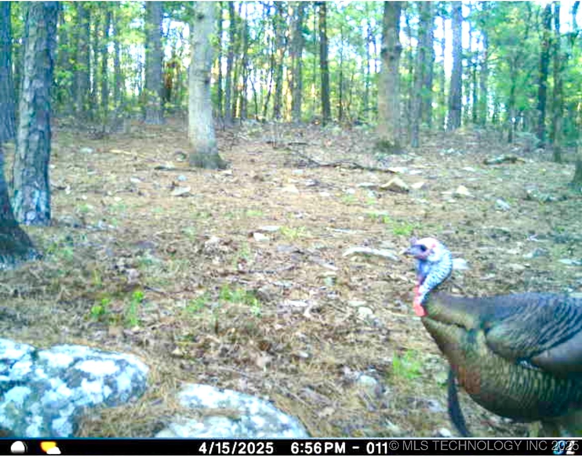 6250 Se 1087 Avenue Property Photo 35