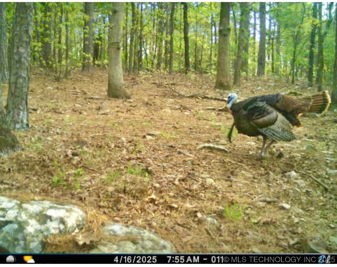 6250 Se 1087 Avenue Property Photo 36