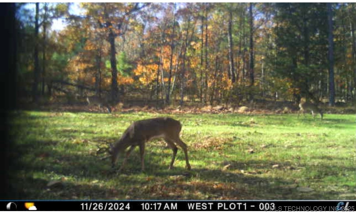 6250 Se 1087 Avenue Property Photo 37