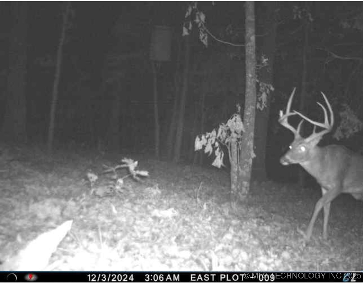 6250 Se 1087 Avenue Property Photo 38