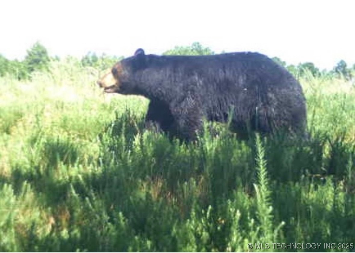 6250 Se 1087 Avenue Property Photo 39