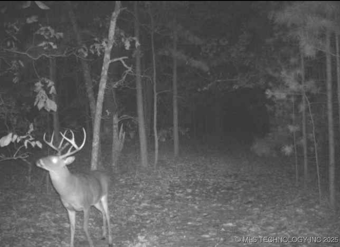 6250 Se 1087 Avenue Property Photo 40