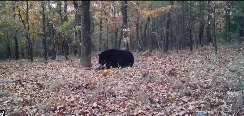 6250 Se 1087 Avenue Property Photo 41