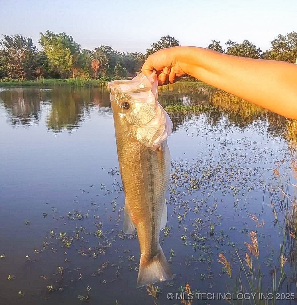 160 E Hwy 31 Property Photo 36