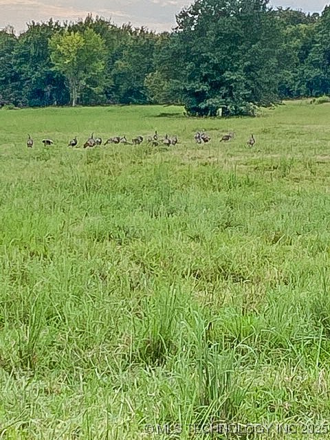 160 E Hwy 31 Property Photo 45