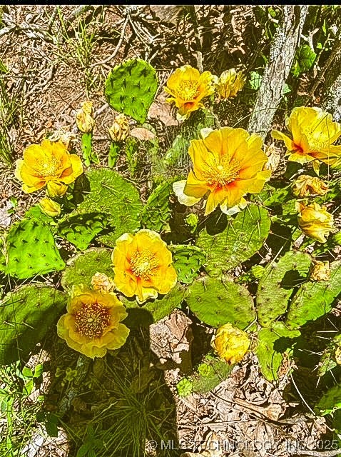 160 E Hwy 31 Property Photo 50