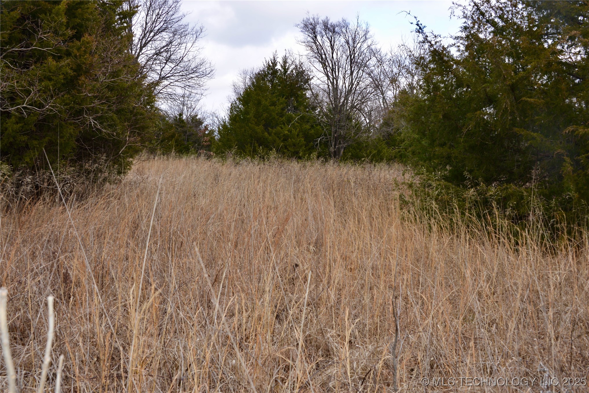 E 1090 Road Property Photo 4