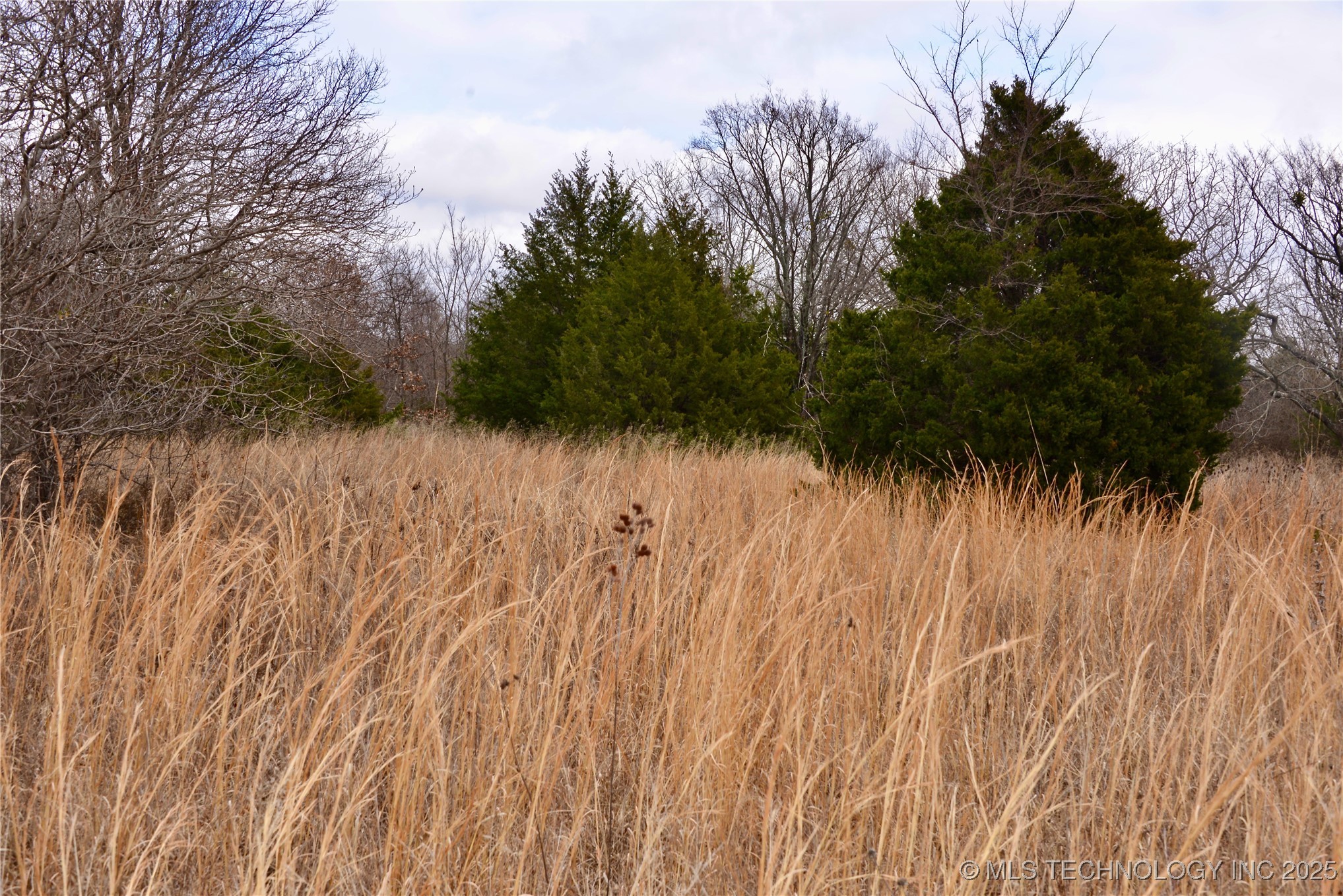 E 1090 Road Property Photo 10