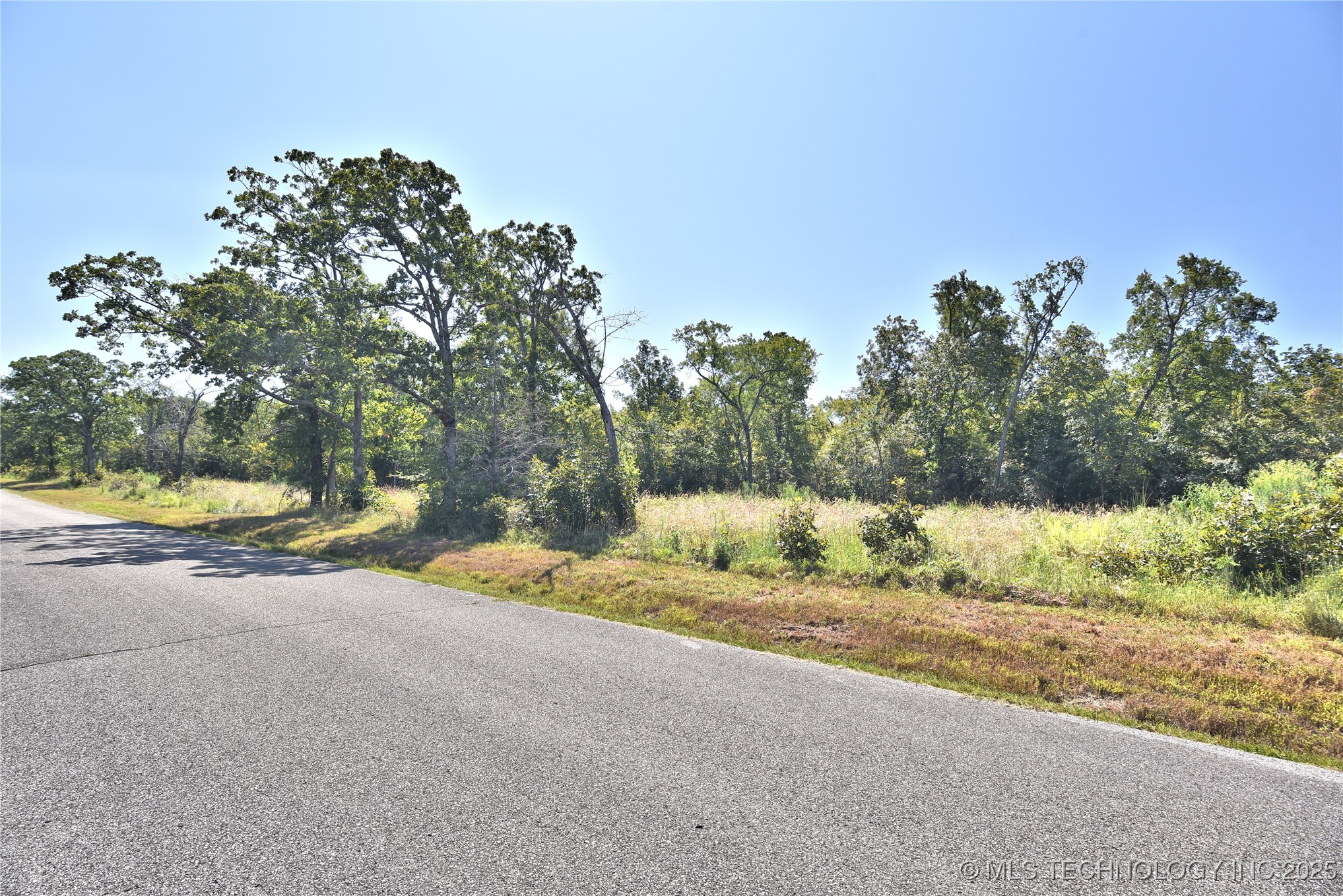 20078 Dripping Springs Lake Road Property Photo 10