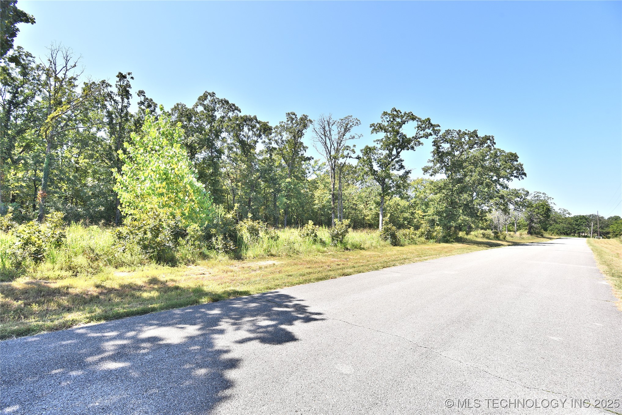 20078 Dripping Springs Lake Road Property Photo 11