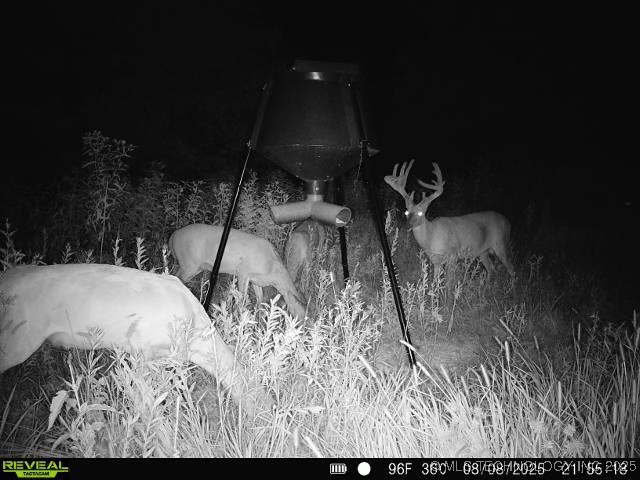 10 N Lenapah Street Property Photo 22