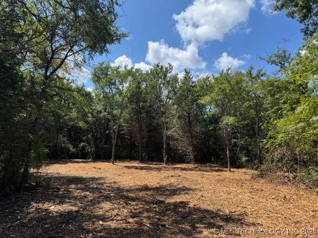 5 Timbercrest Avenue Property Photo 19