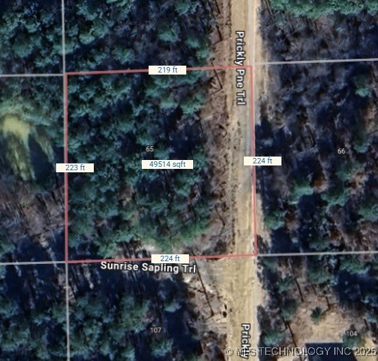 65 Prickly Pine Trail Property Photo 28