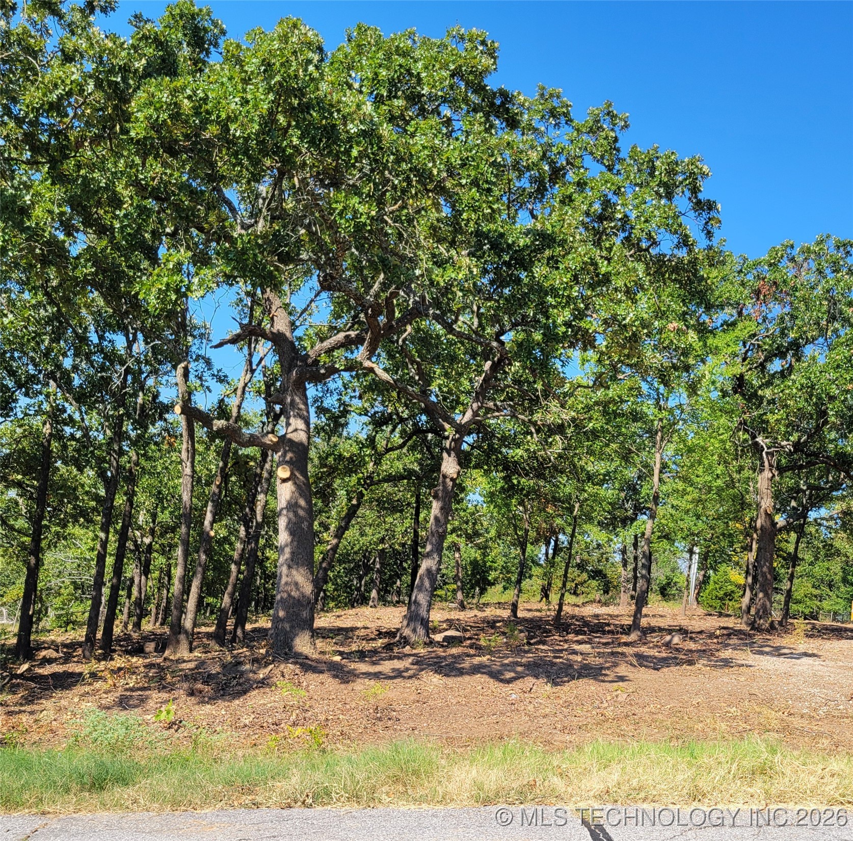 5332 Oak Timber Drive Property Photo 6