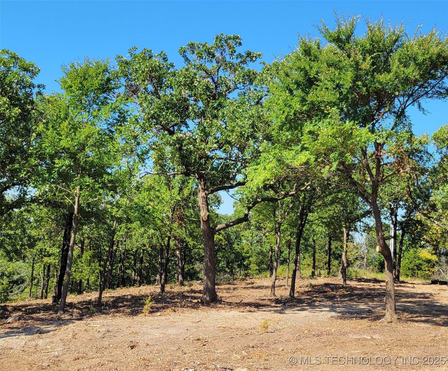 5332 Oak Timber Drive Property Photo 7