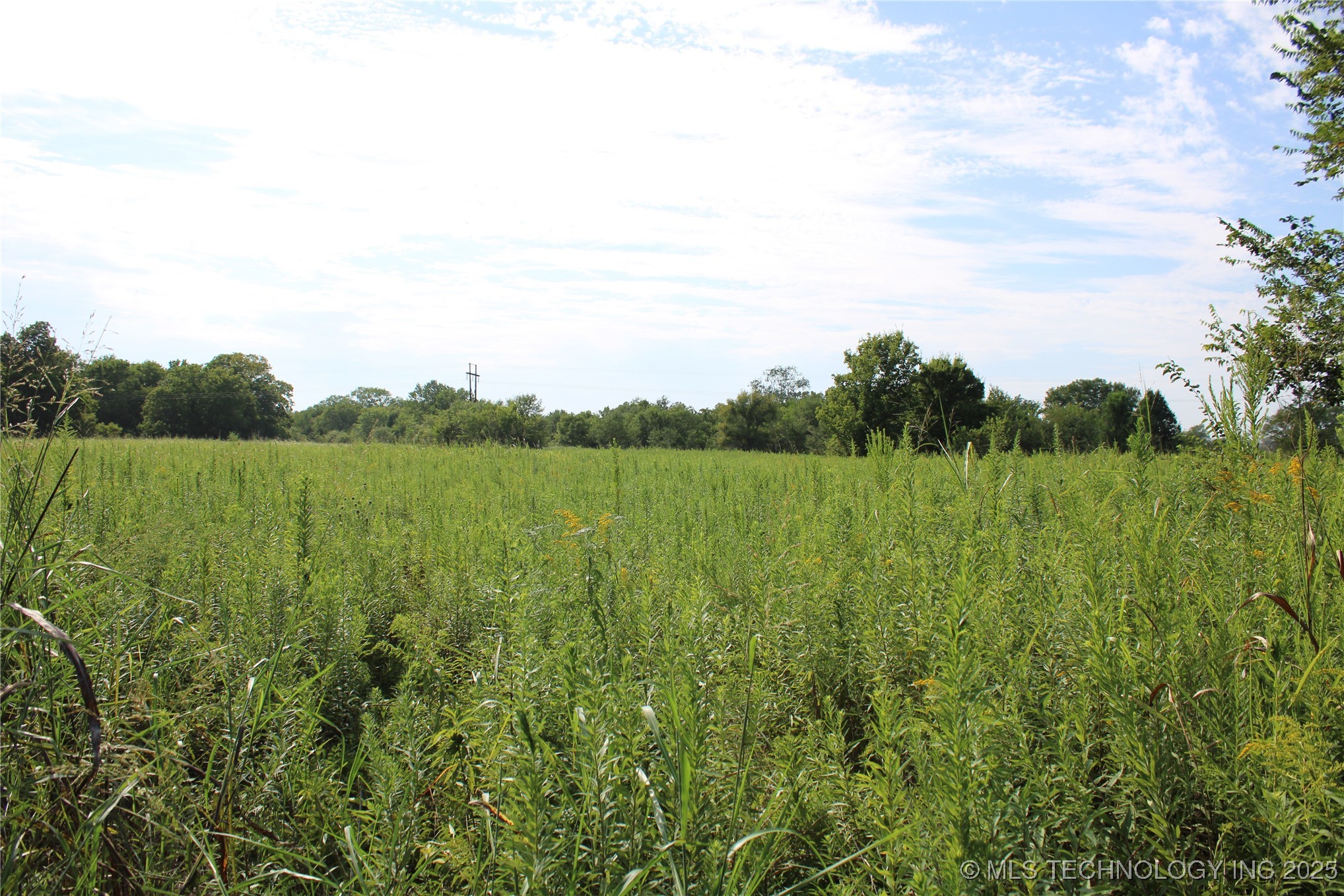 0000 W 1000 Road Property Photo 31