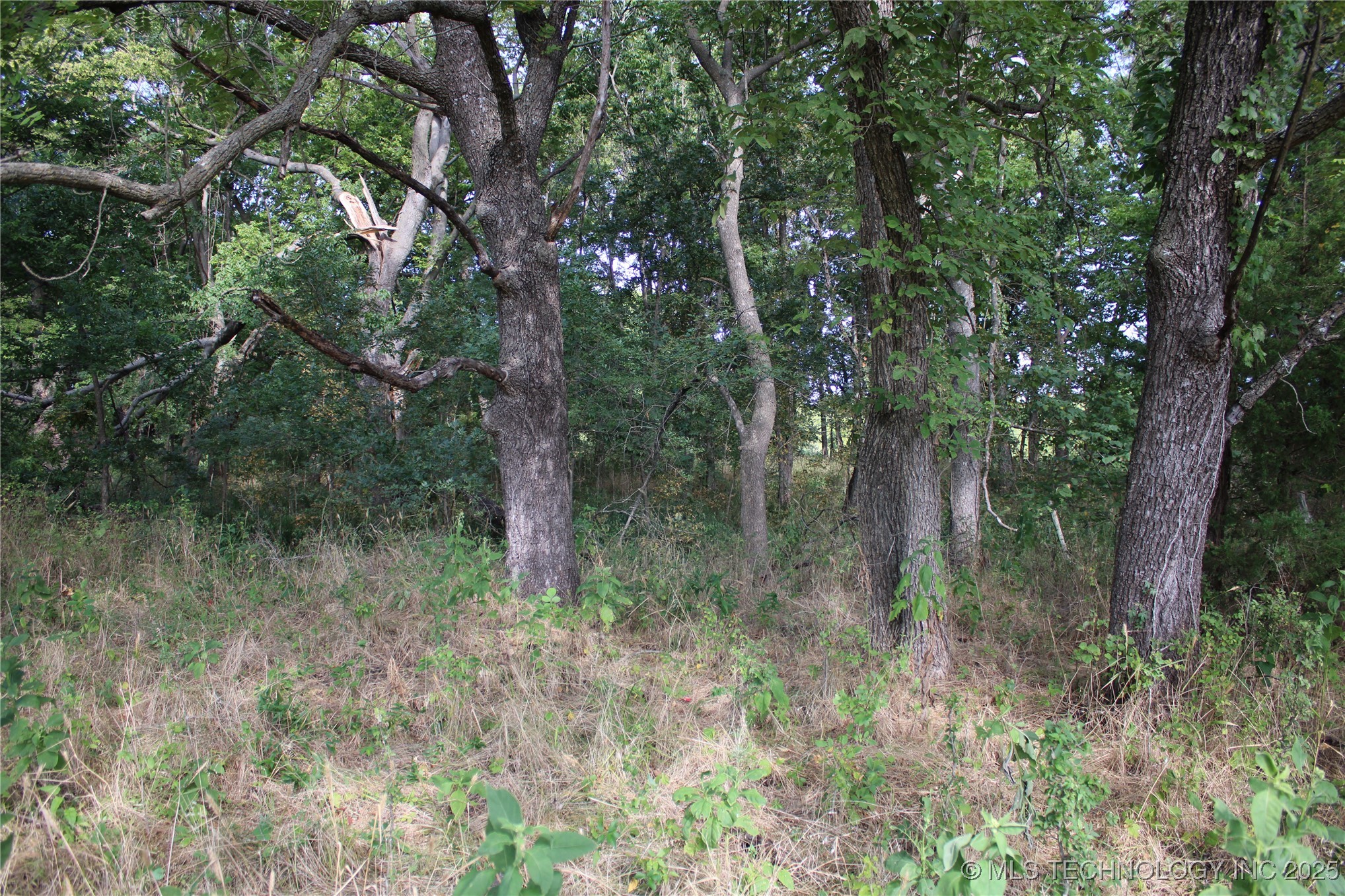 0000 W 1000 Road Property Photo 34