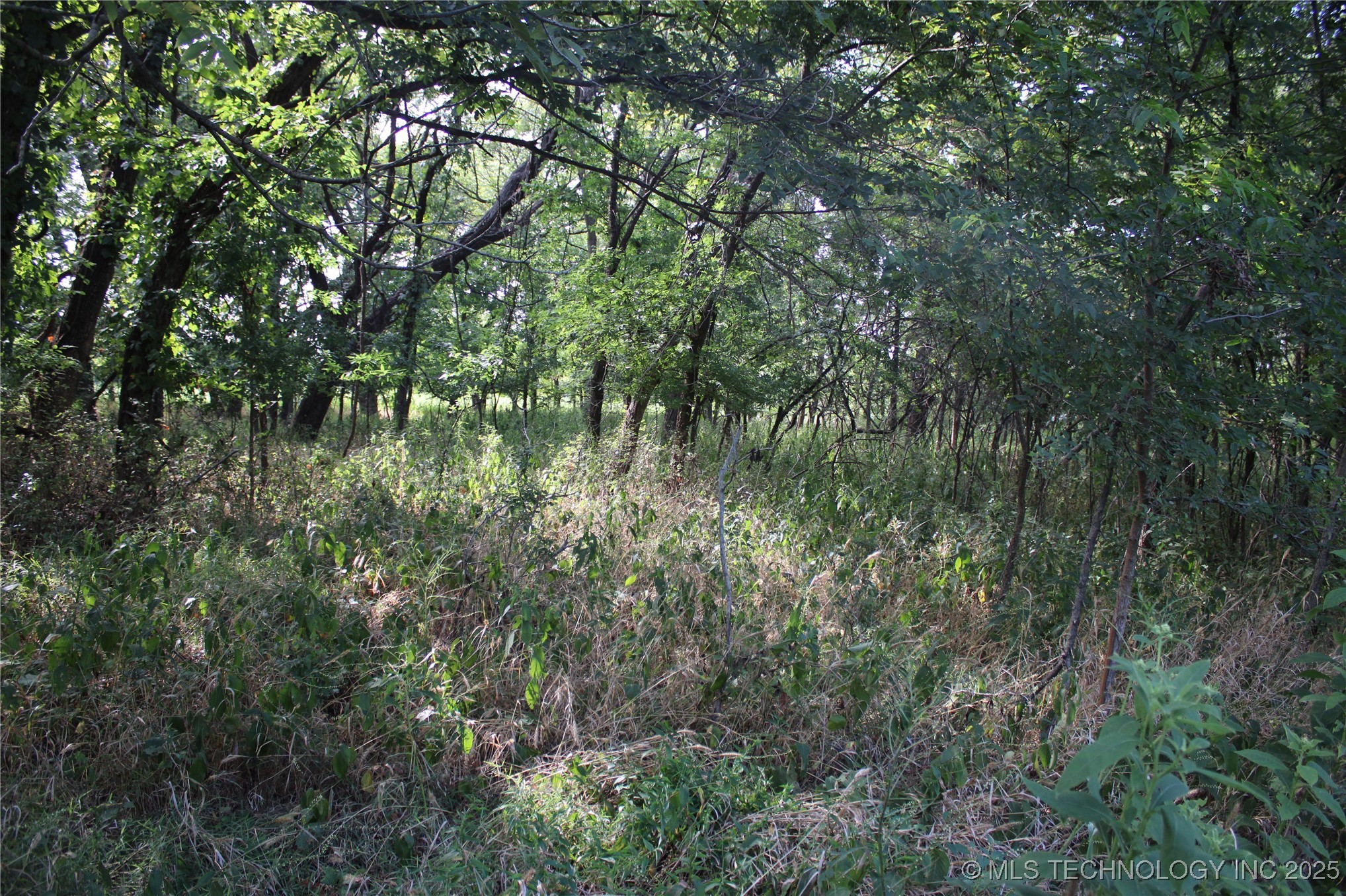 0000 W 1000 Road Property Photo 37