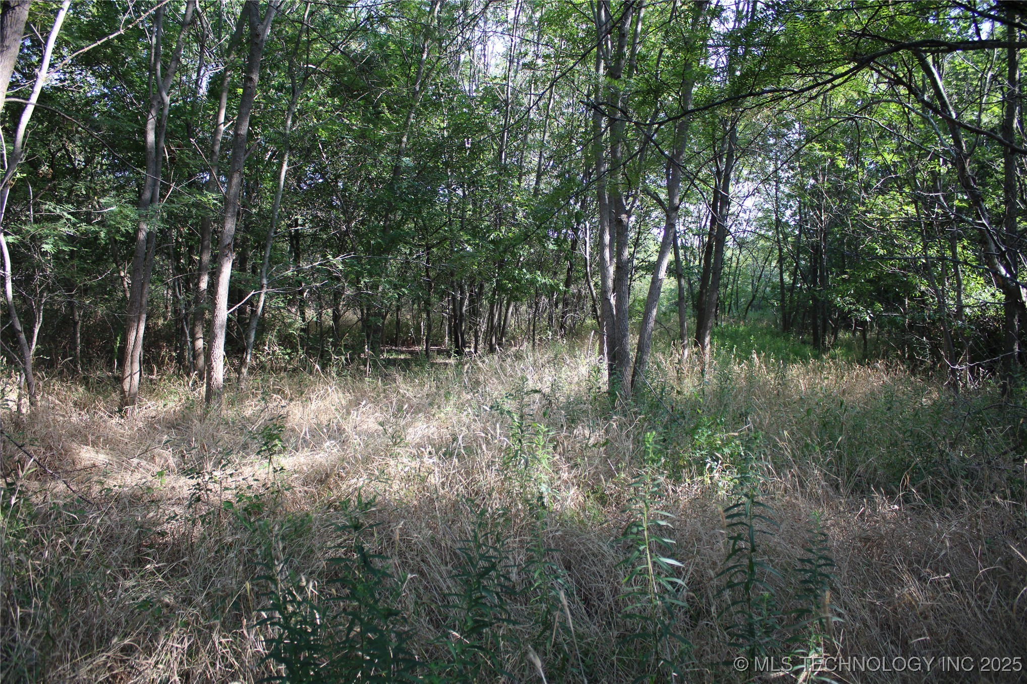 0000 W 1000 Road Property Photo 45