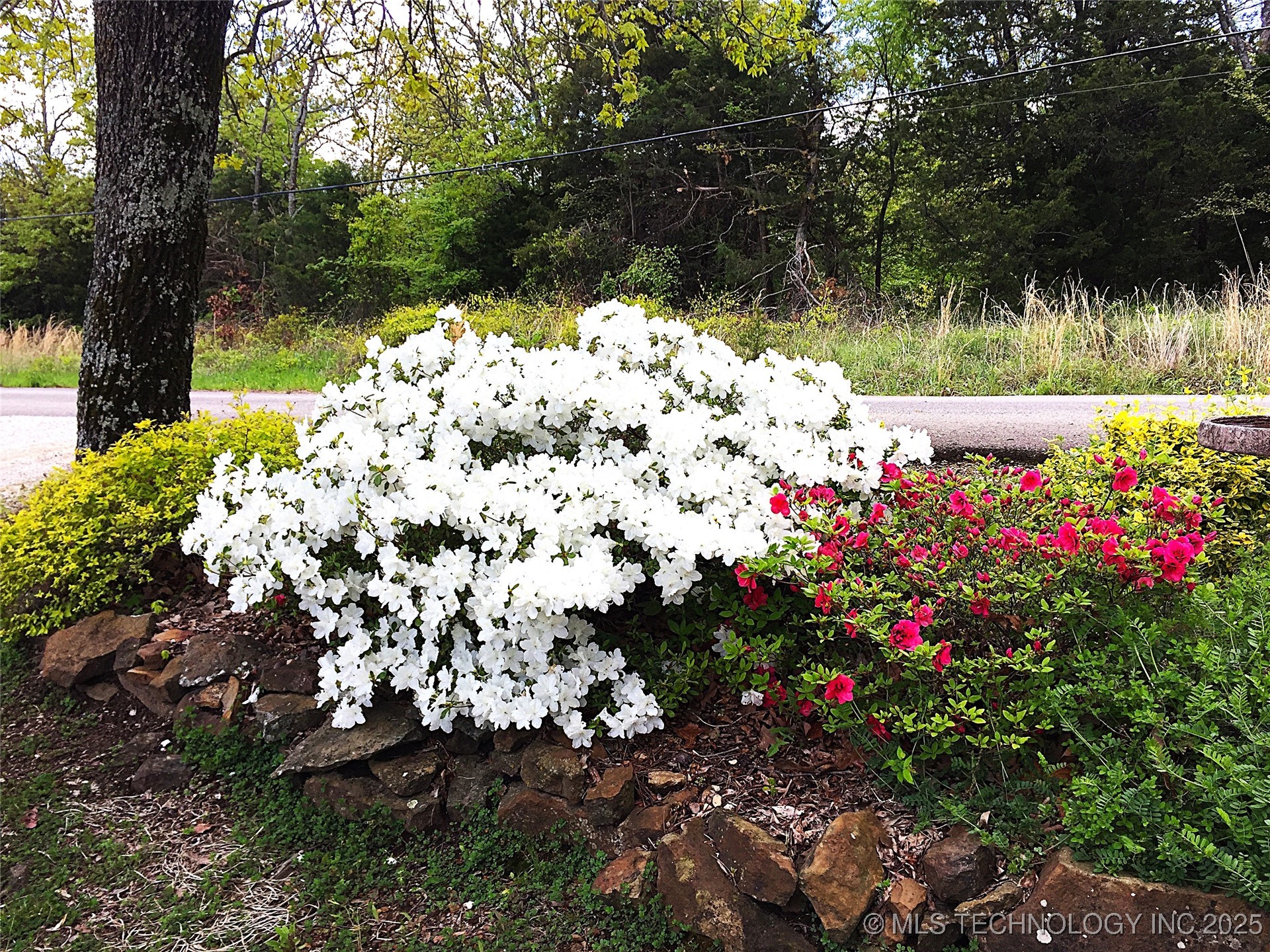 400 Dogwood Street Property Photo 6