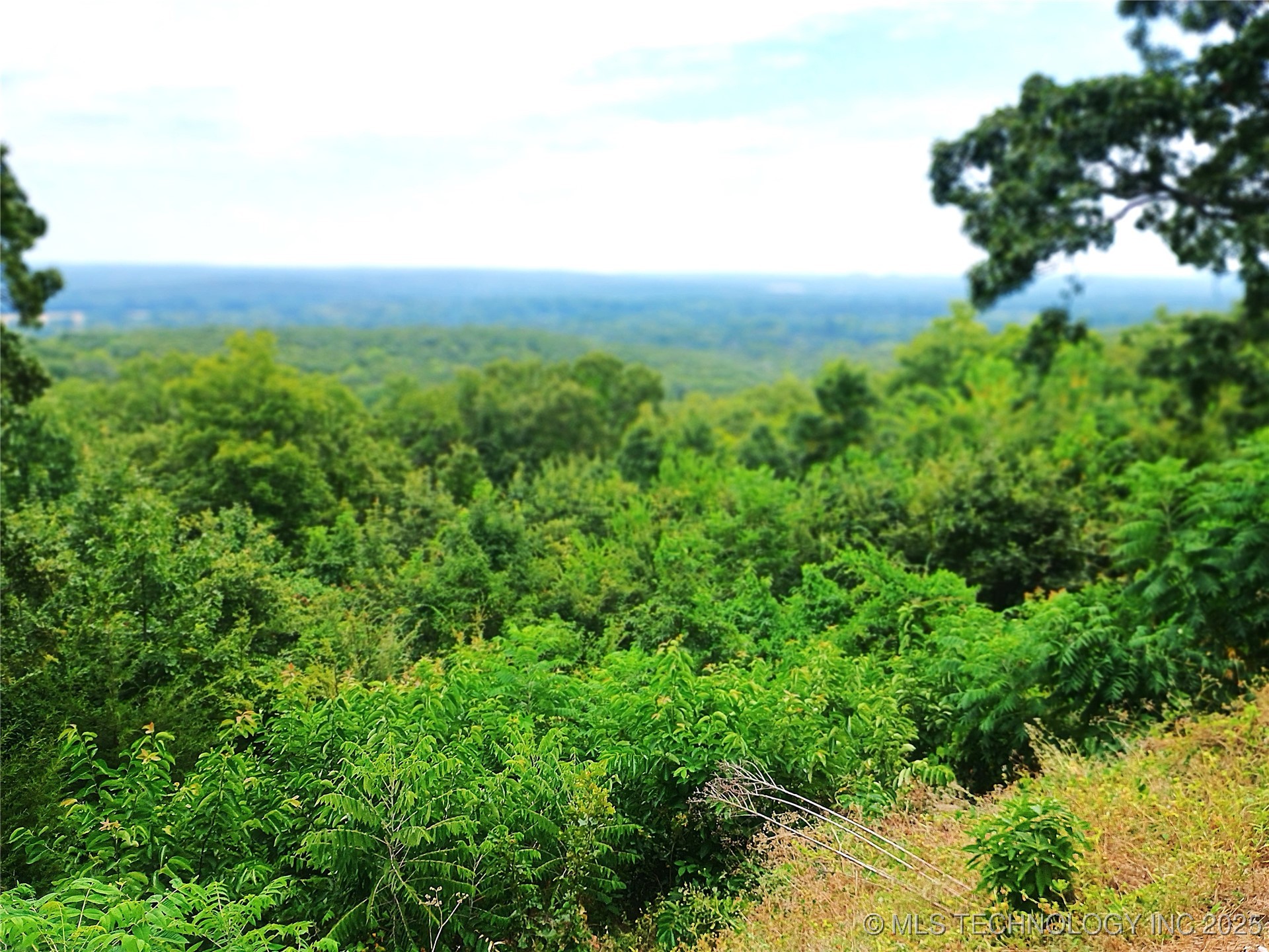 400 Dogwood Street Property Photo 46