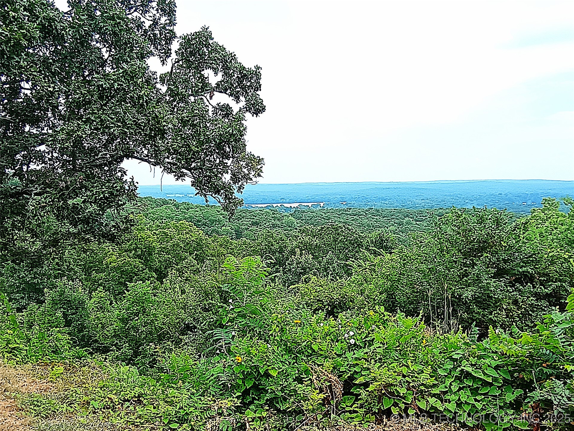 400 Dogwood Street Property Photo 47