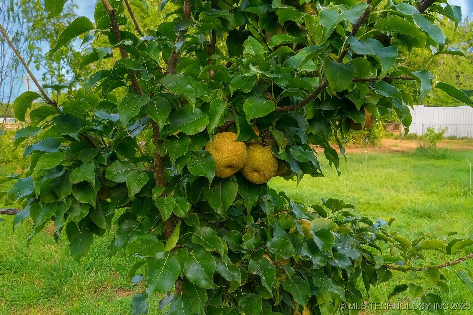 714 W Williams Street