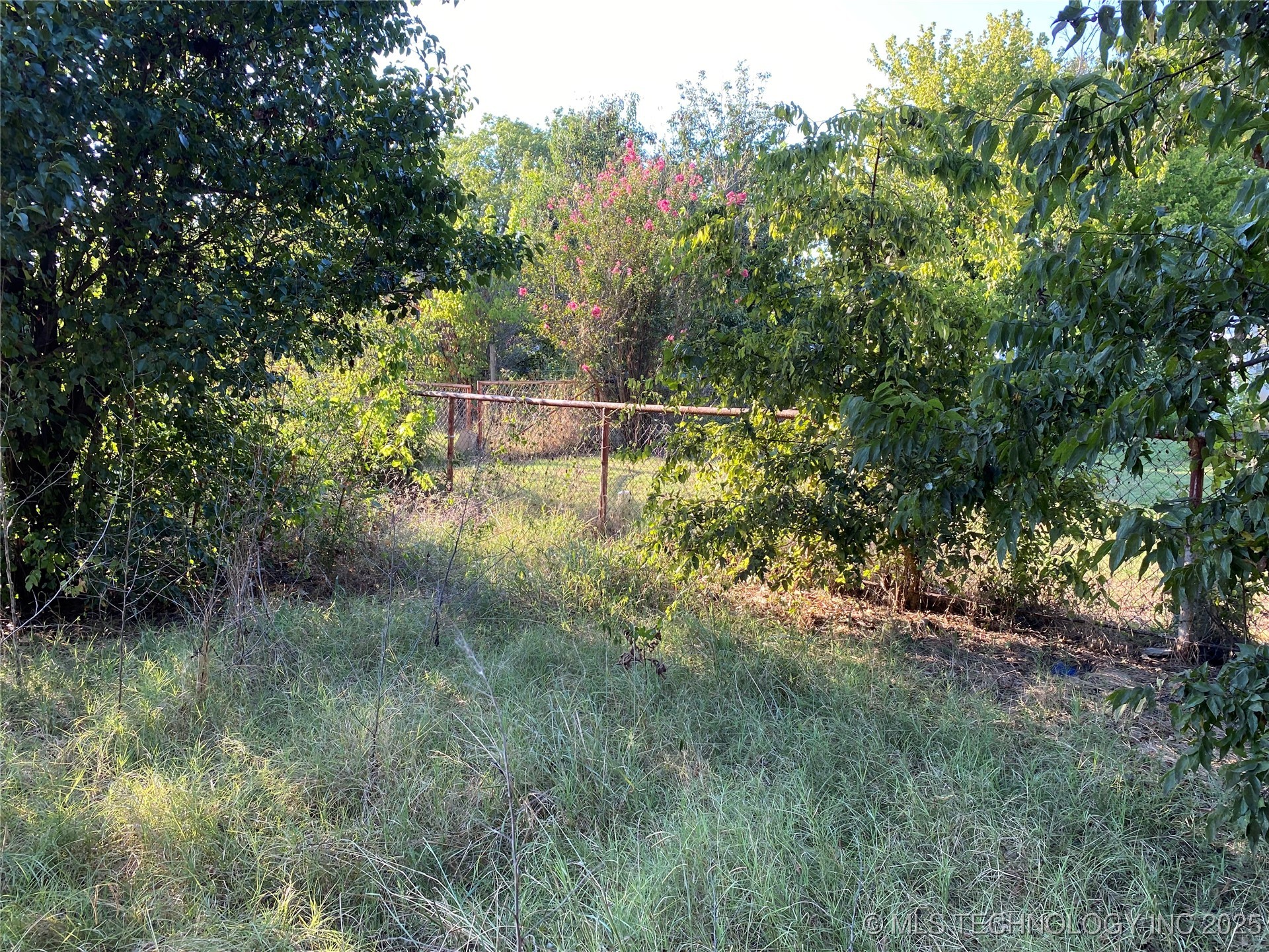 108 Beech Property Photo 6