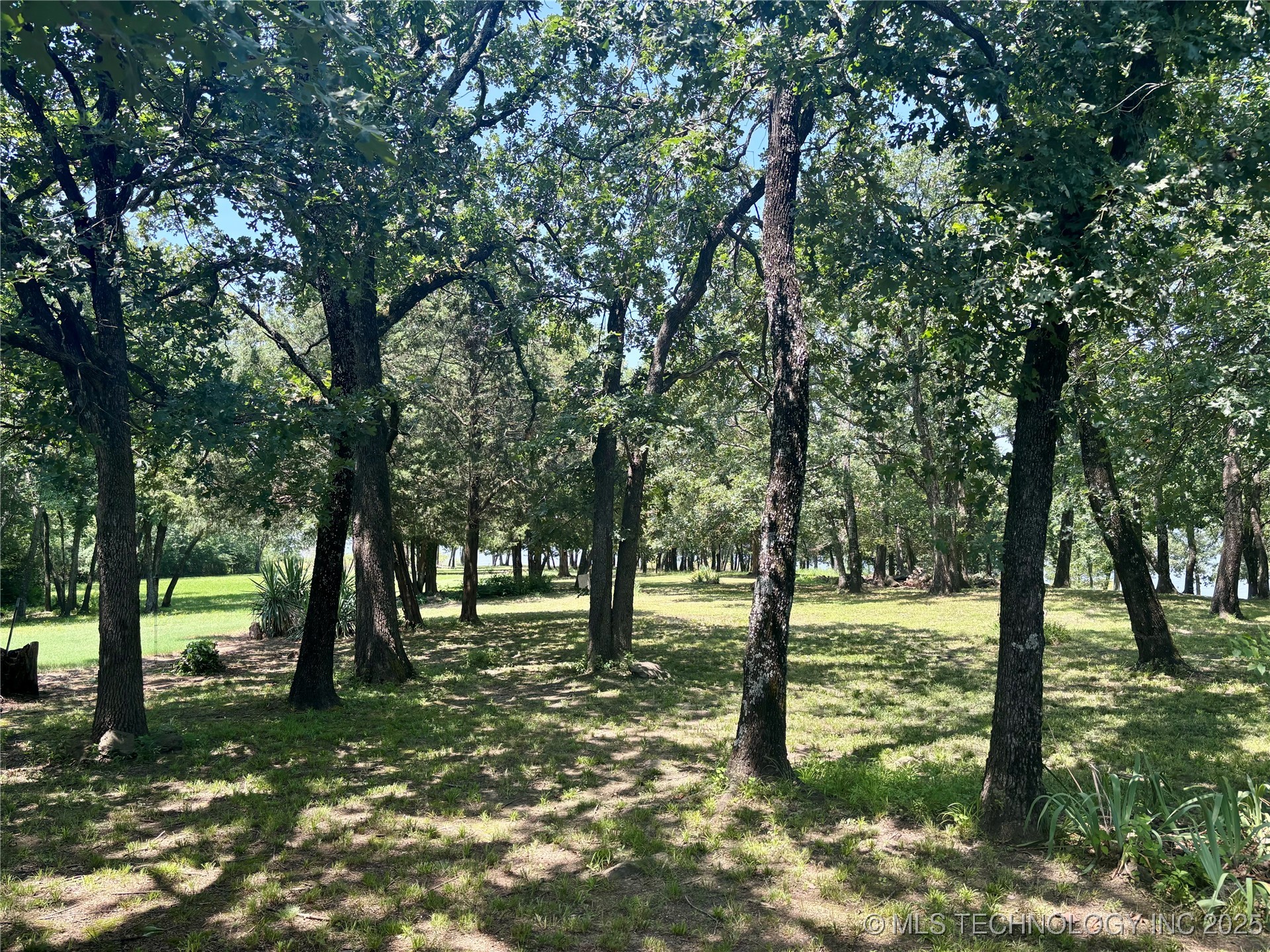 374 Cedar Tree Drive Property Photo 5