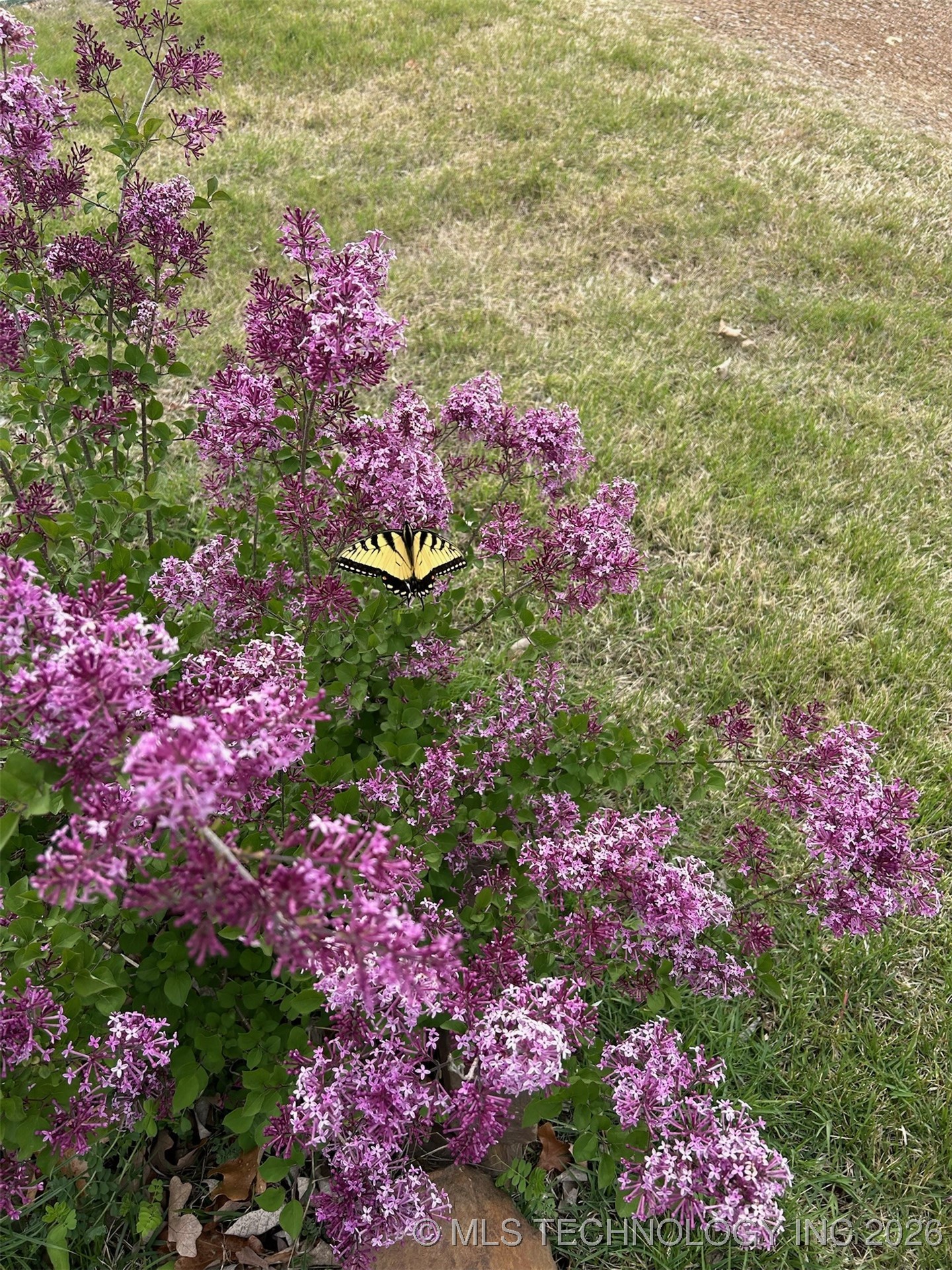 374 Cedar Tree Drive Property Photo 80