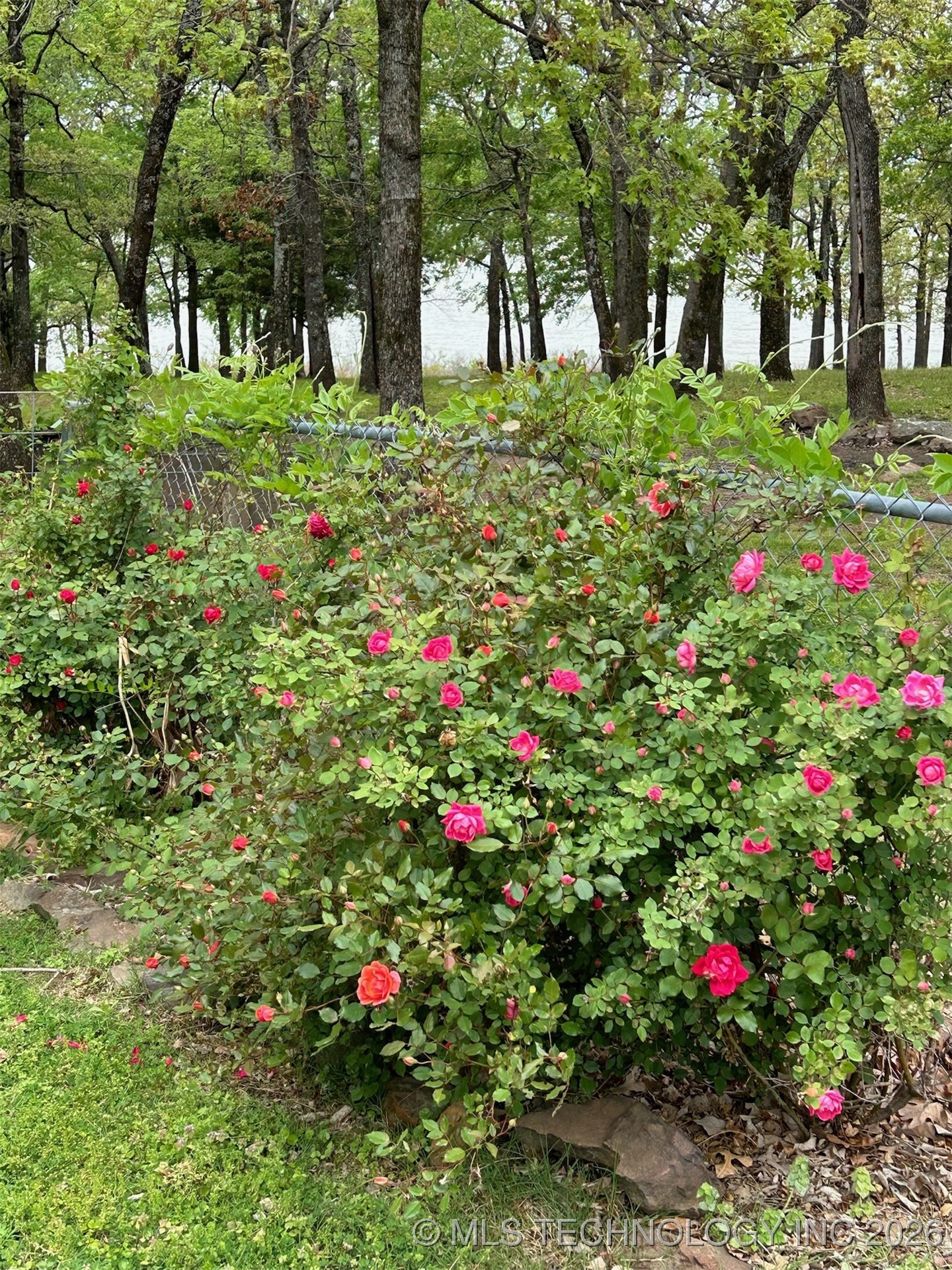 374 Cedar Tree Drive Property Photo 81