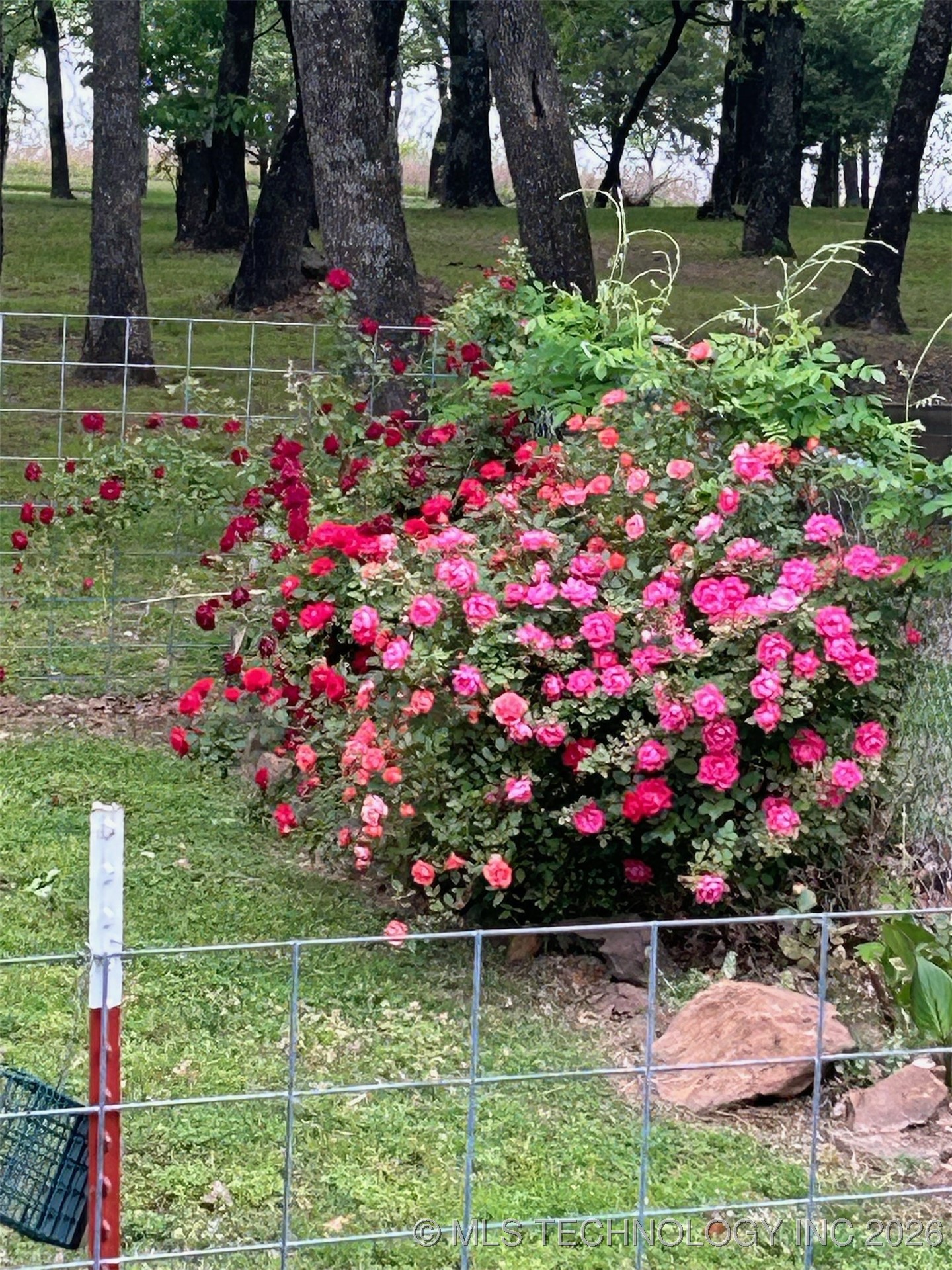 374 Cedar Tree Drive Property Photo 82