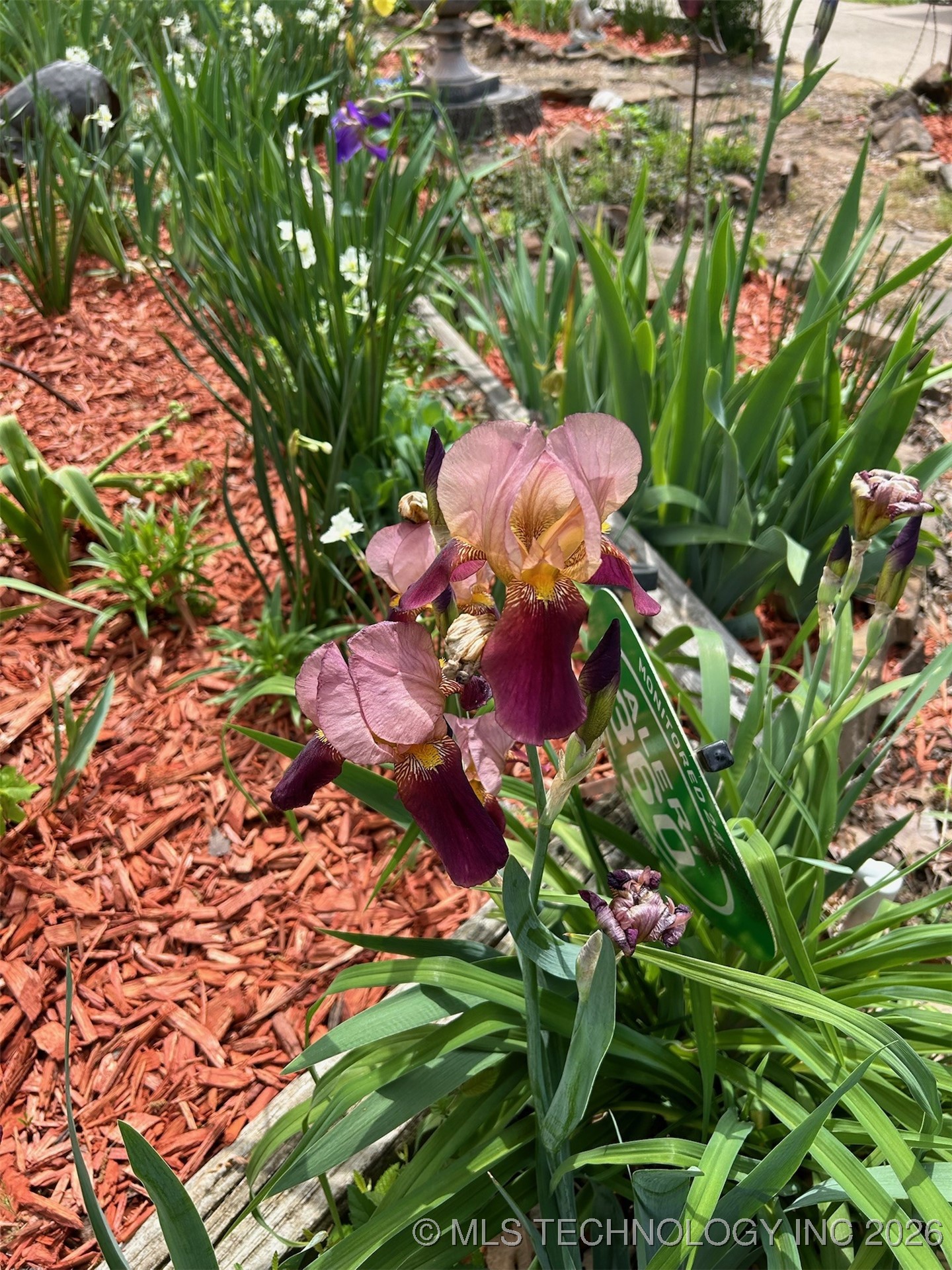 374 Cedar Tree Drive Property Photo 83